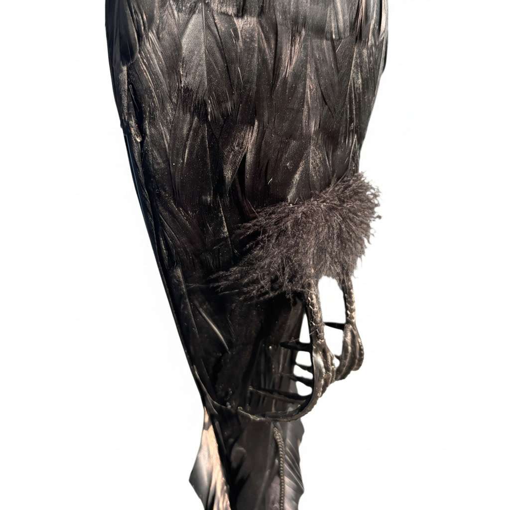 Surnud varese kuju jalad rippumas