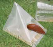 Lõks hispaania teetigudele